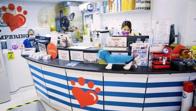 Pets Central北角24/7急症醫院