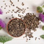 水飛薊