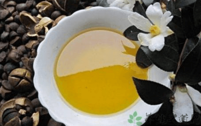 山茶花油可以擦濕疹嗎？萬能的山茶花油功效、用法&副作用